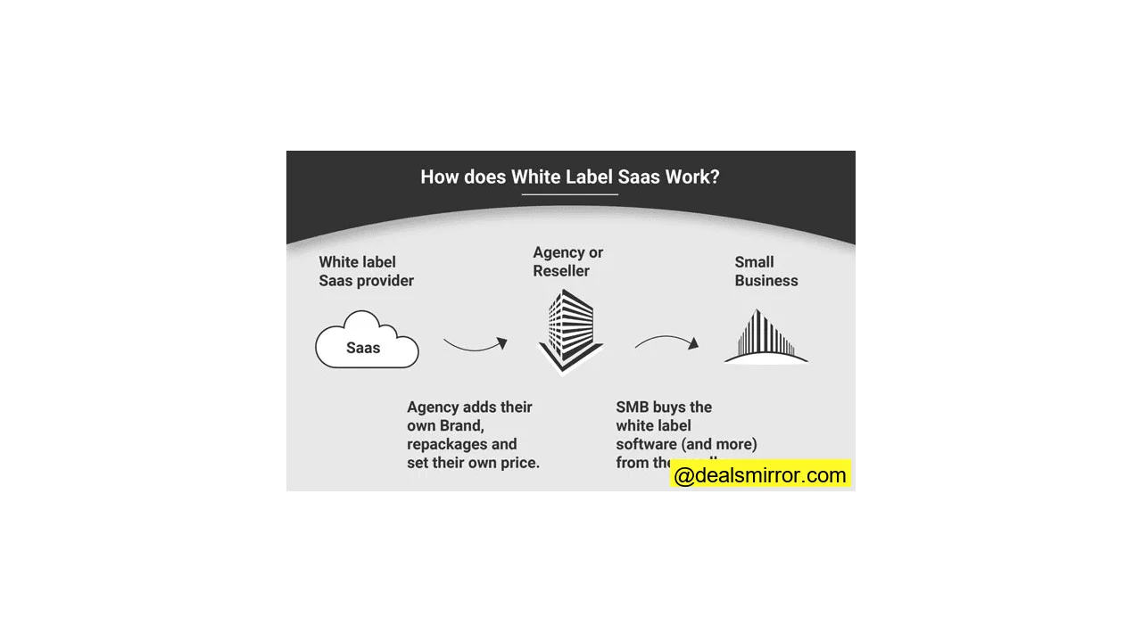 Como funciona o SaaS de marca branca